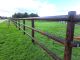 Paardenomheining / Clôtures pour chevaux