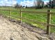 Paardenomheining
