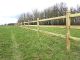Paardenomheining