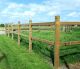 Paardenomheining met twee liggers